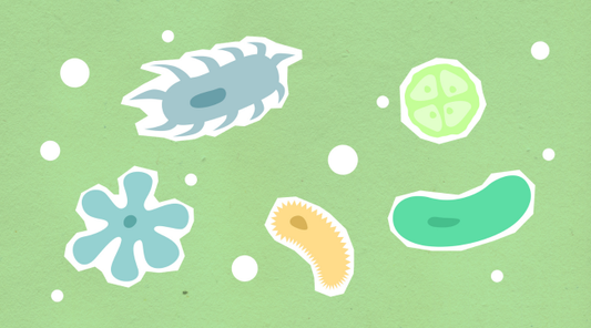 low histamine probiotics